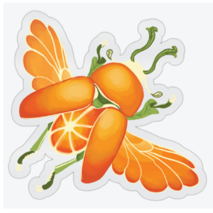 sticker with clear backing that is a beetle that is orange and has similar parts to and orange